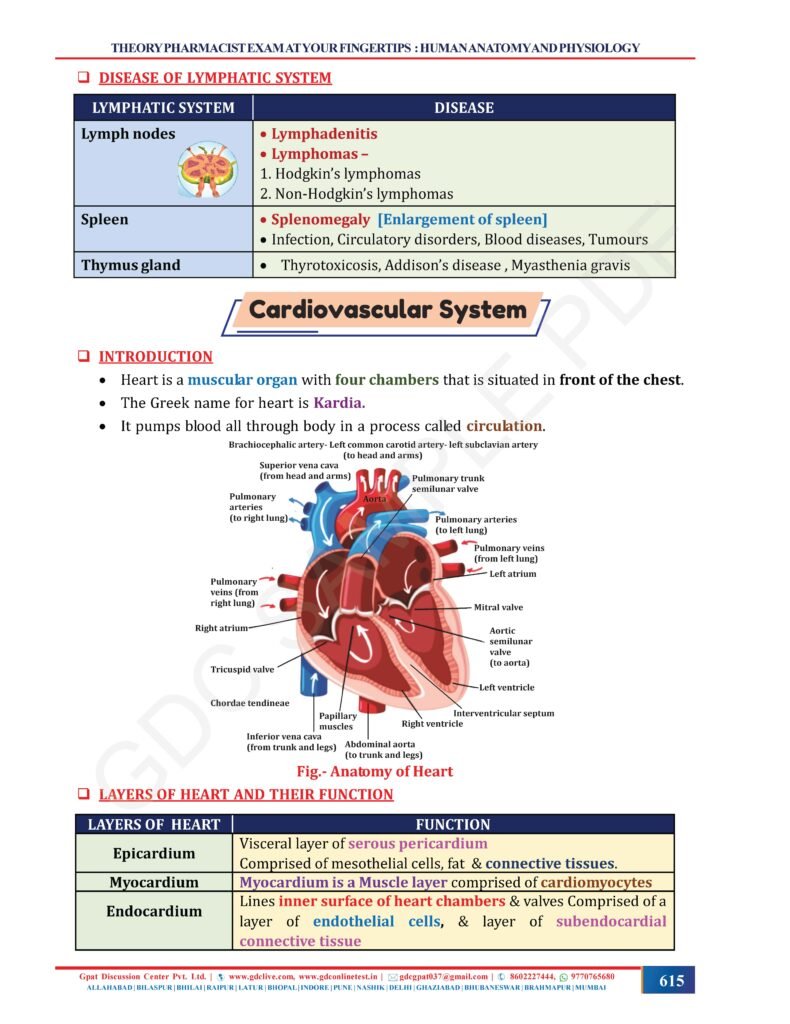 THEORY PHARMACIST EXAM AT YOUR FINGERTIPS (COLOURED HARD COPY BOOK)