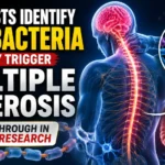 Medical thumbnail showing gut bacteria linked to multiple sclerosis, with a human nervous system, brain, spinal cord, intestine illustration, and microscopic bacteria imagery highlighting a major scientific breakthrough.