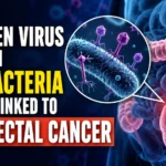 Illustration showing bacteriophages infecting gut bacteria alongside a highlighted colorectal cancer tumor in the human colon, representing a potential link between gut viruses and colorectal cancer.