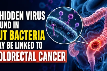 Illustration showing bacteriophages infecting gut bacteria alongside a highlighted colorectal cancer tumor in the human colon, representing a potential link between gut viruses and colorectal cancer.