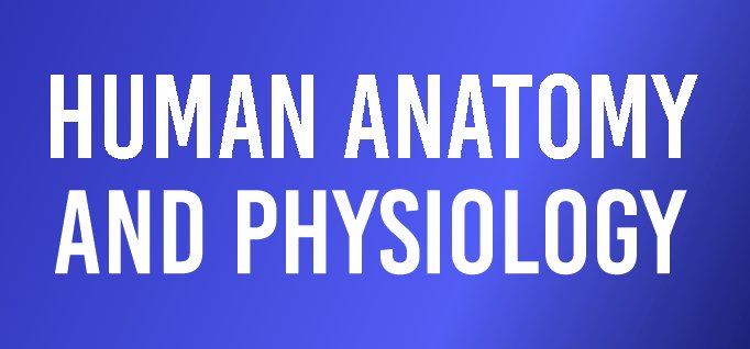 Human Anatomy and Physiology