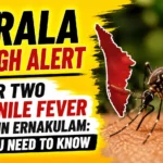 News-style YouTube thumbnail highlighting Kerala's high alert over West Nile Fever deaths in Ernakulam. Features a large mosquito, Kerala state map, virus illustration, and bold alert text on a yellow background.