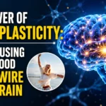 Glowing human brain with active neural connections illustrating neuroplasticity and the ability of positive thinking to rewire brain pathways.