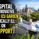 Hospital patient on life support resting in a rooftop ICU garden surrounded by flowers, greenery, and medical equipment with a city skyline in the background.