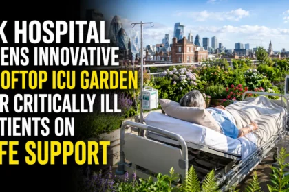 Hospital patient on life support resting in a rooftop ICU garden surrounded by flowers, greenery, and medical equipment with a city skyline in the background.