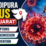 Chandipura virus in Gujarat showing virus particle, insect vector, symptoms, transmission and prevention